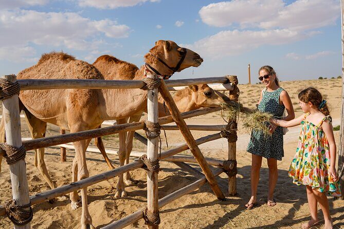 Evening Heritage Safari by Vintage G-Class at Al Marmoom Oasis - Cultural & Entertainment Highlights