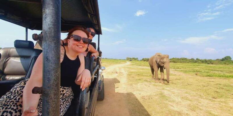 evening-minneriya-national-park-safari-with-pickup-and-drop