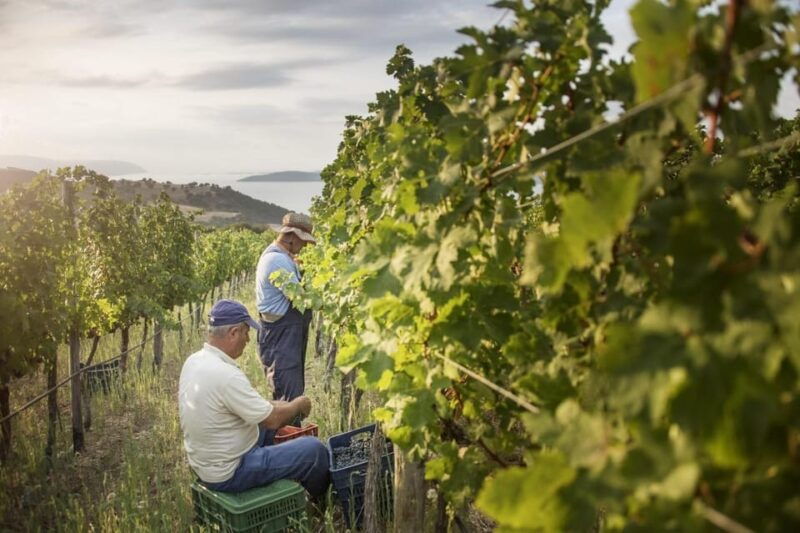 evening-of-wine-and-scenic-views-in-skiathos