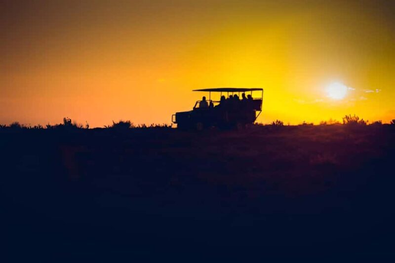 Evening Pilanesberg Night Safari Tour from Sun City - FAQ