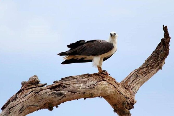 Evening Private Tour Safari at Yala National Park - Who This Tour Is Best For