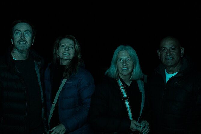 Evening Rainforest & Glow Worm Tour from Gold Coast - Practical Tips to Make the Most of Your Tour