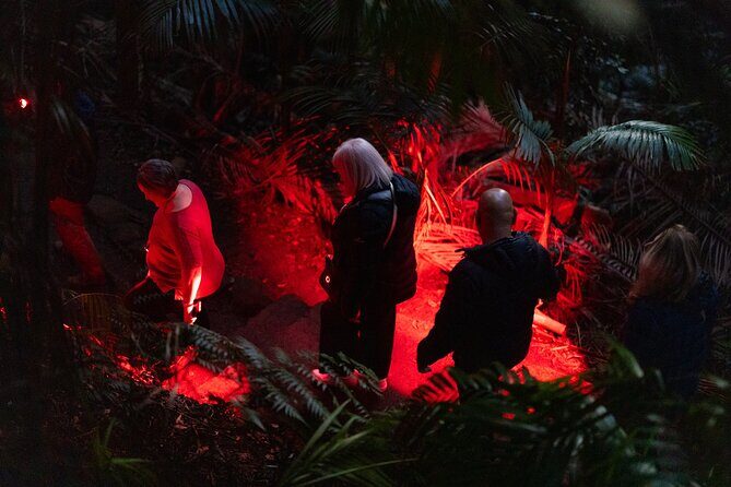 Evening Rainforest & Glow Worm Tour from Gold Coast - FAQ