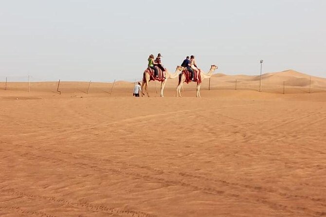 Evening Safari with Quad Bike, Camel Riding, BBQ Dinner and Dune Bashing - Transportation and Group Size