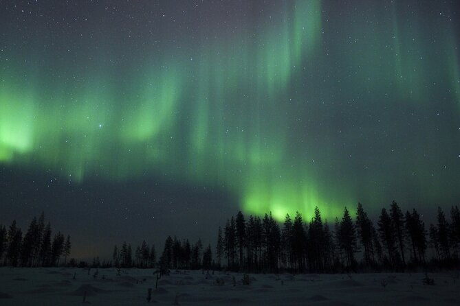 evening-ski-trek-to-the-wilderness-extra-small-group-2