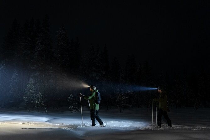 evening-ski-trek-to-the-wilderness-extra-small-group-2