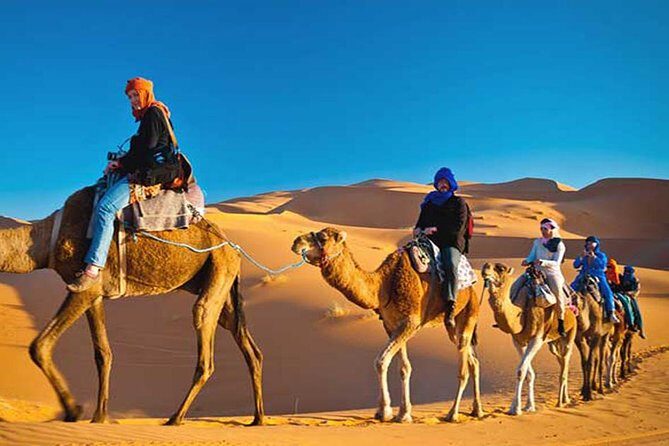 Evening Sunset Desert Safari Dubai - The Itinerary in Detail