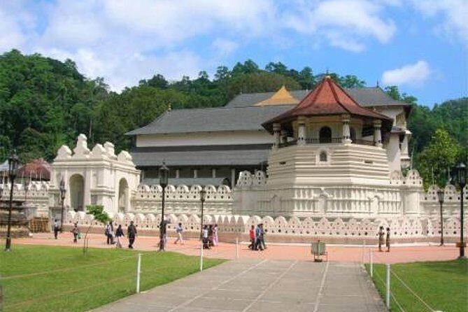 Evening Tour at the Last Kingdom of Sri Lanka, Kandy - Who Will Love This Tour?