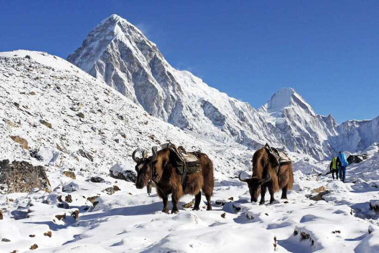 everest-base-camp-short-trek-12-days