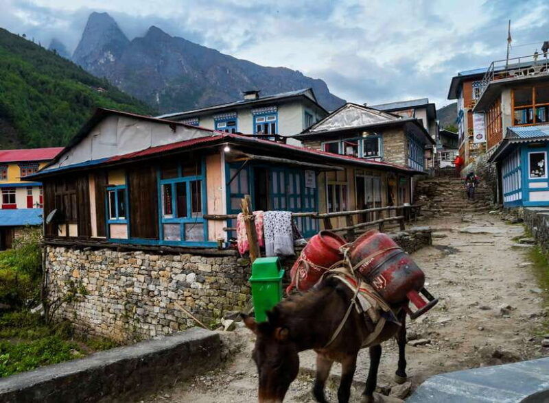 everest-base-camp-trek-15-days-nepal