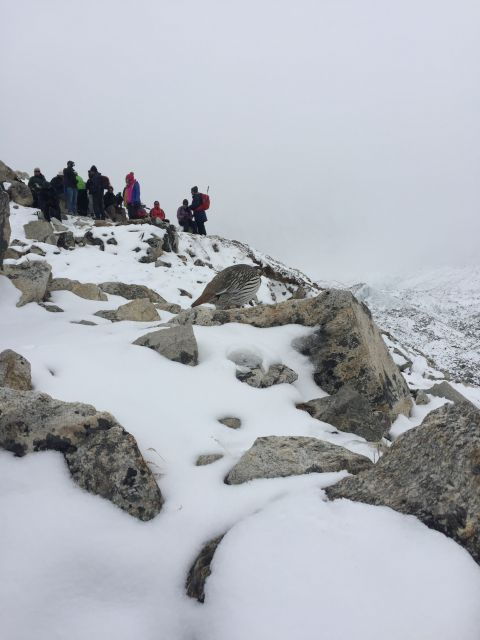 everest-base-camp-trek-3