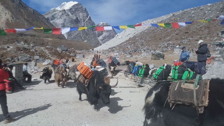 everest-base-camp-trek-3