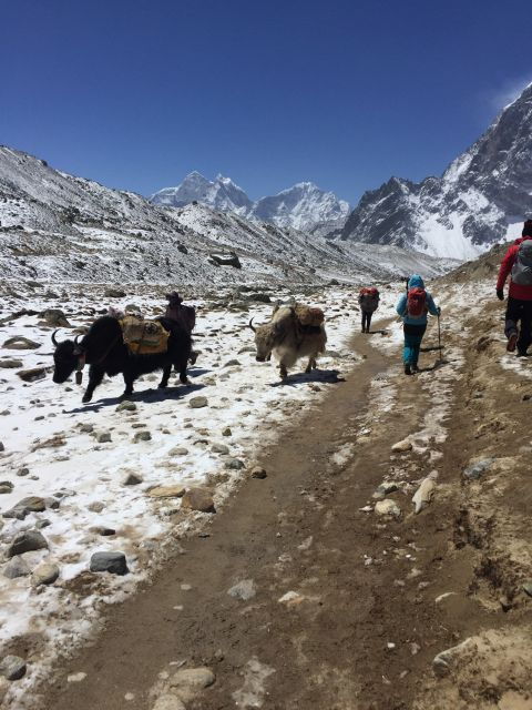 everest-base-camp-trek-3