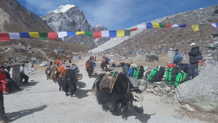everest-base-camp-trek-3