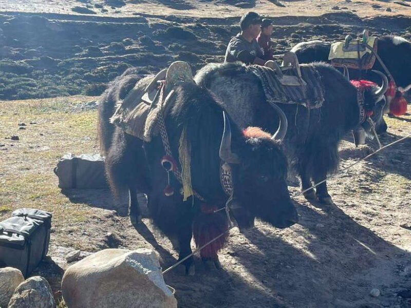 everest-base-camp-trek-6n-7d