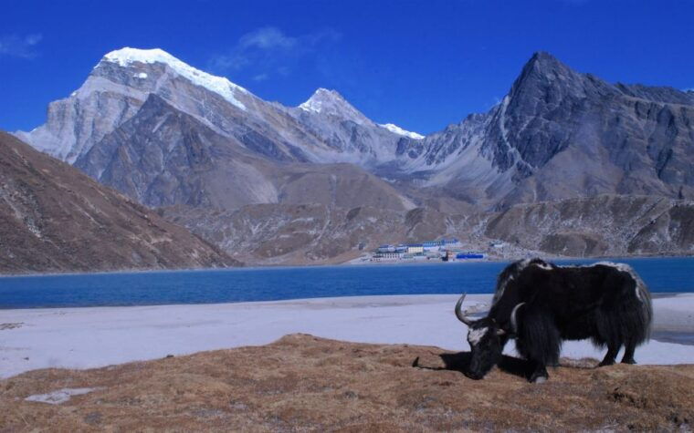 everest-base-camp-trek-with-gokyo-lakes-16-day-adventure