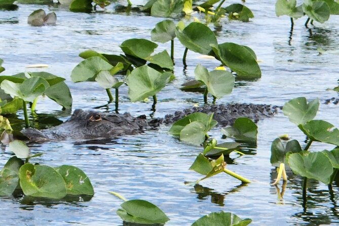 everglades-airboat-ride-and-bus-transfer-from-miami-beach