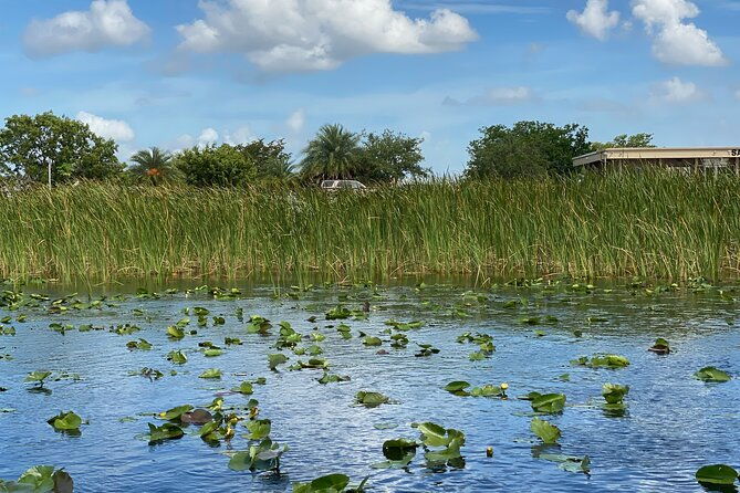 everglades-airboat-tour-with-roundtrip-transportation-from-miami