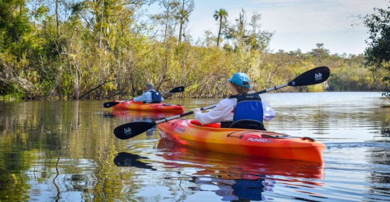 everglades-city-guided-kayaking-tour-of-the-wetlands