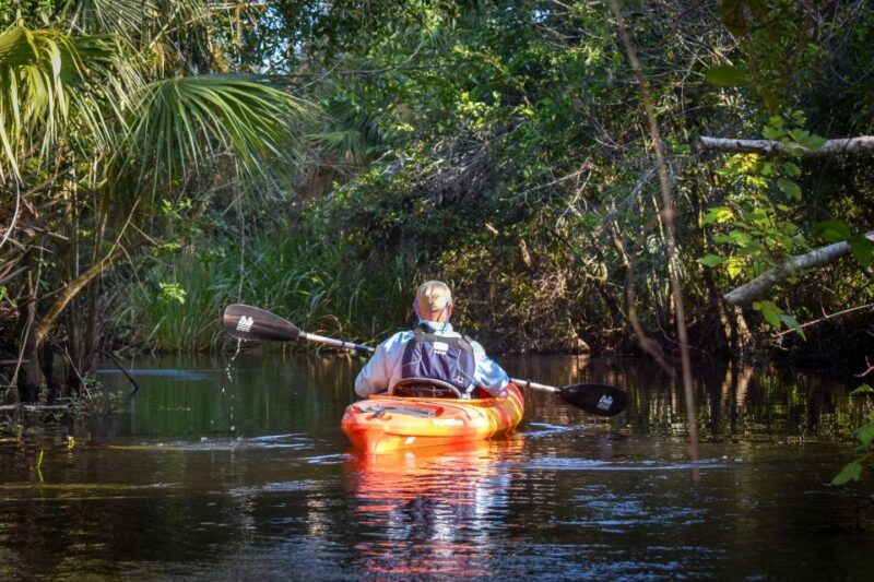 everglades-city-guided-kayaking-tour-of-the-wetlands