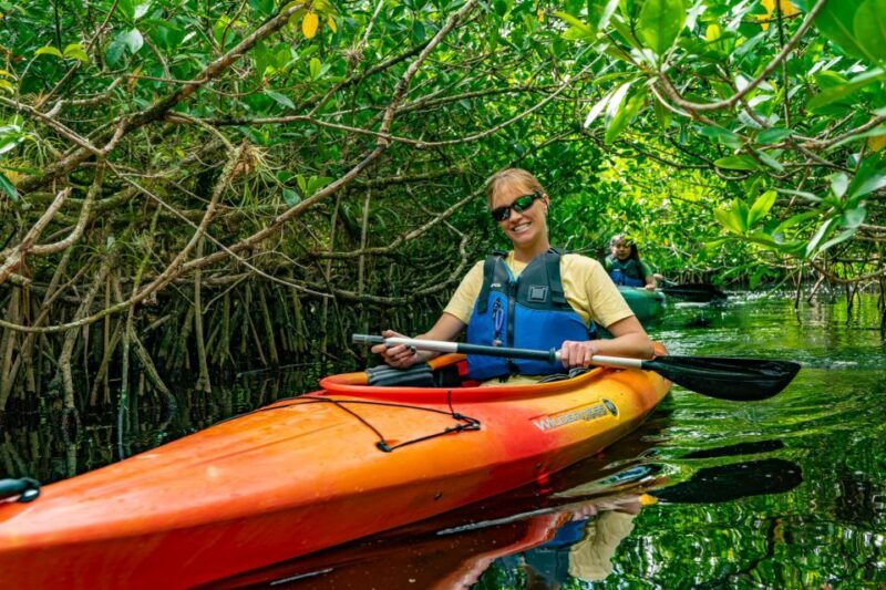 Everglades City: Guided Kayaking Tour with and Airboat Ride - Everglades City: Guided Kayaking Tour with Airboat Ride – A Deep Dive into Natures Marvel