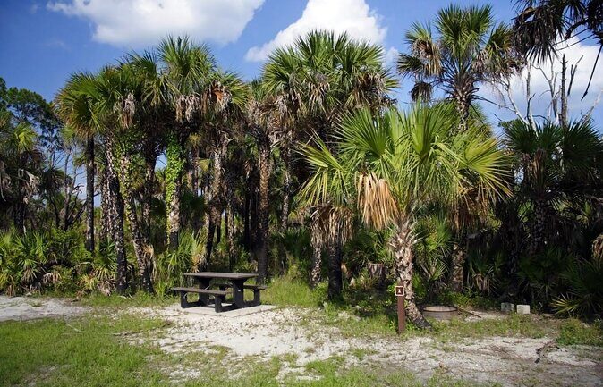Everglades Day Safari from Fort Myers/Naples Area - Key Points  