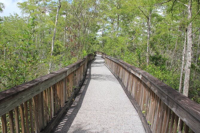 everglades-day-safari-from-miami