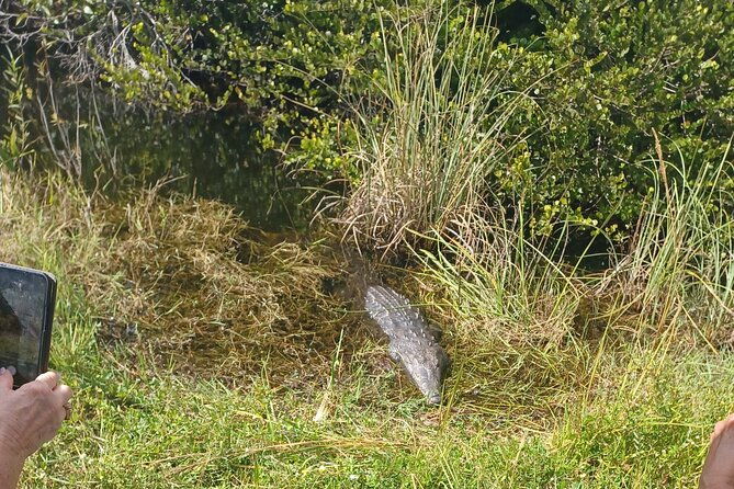 everglades-eco-airboat-tour-with-private-luxury-transportation