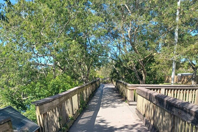 everglades-eco-airboat-tour-with-private-luxury-transportation