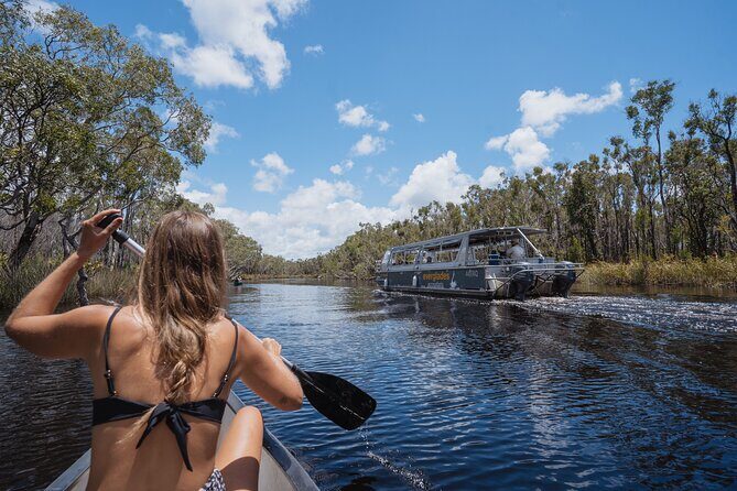 Everglades Explorer - Noosa Everglades Tour - An Honest Look at the Experience