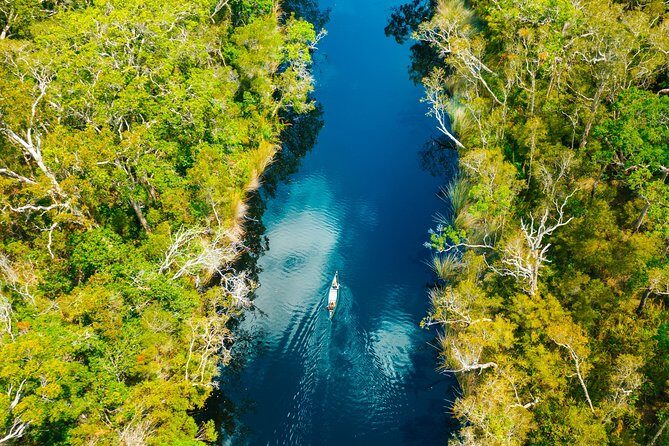 Everglades Explorer - Noosa Everglades Tour - Final Thoughts