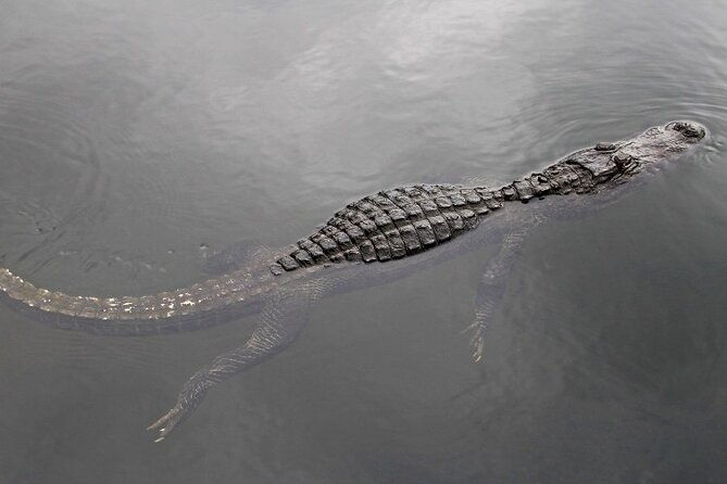 everglades-express-small-group-tour-from-miami-with-airboat-ride