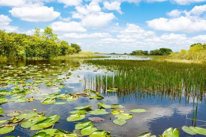 everglades-express-small-group-tour-from-miami-with-airboat-ride