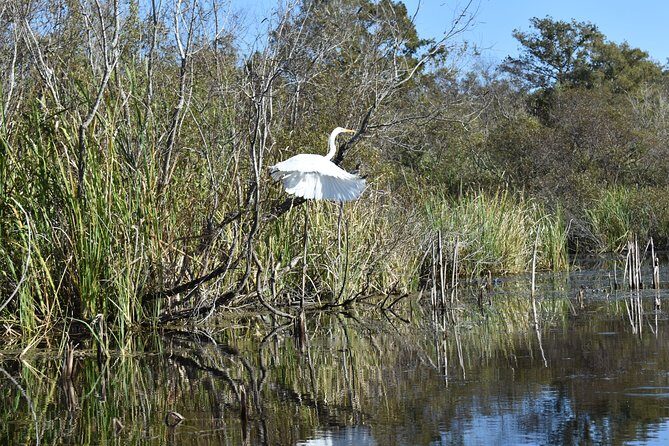 Everglades Guided Kayak Tour - The Experience Breakdown: A Closer Look at the Tour Itinerary