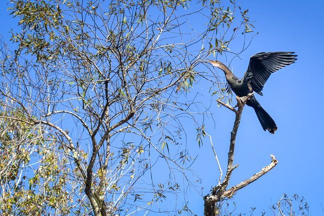 Everglades Guided Kayak Tour - The Sum Up
