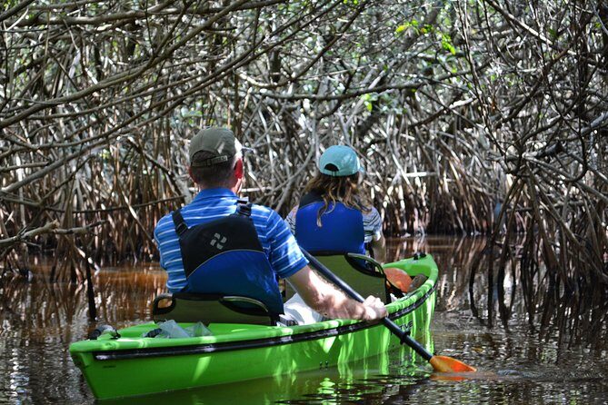 Everglades Kayak Safari Adventure Through Mangrove Tunnels - Key Points