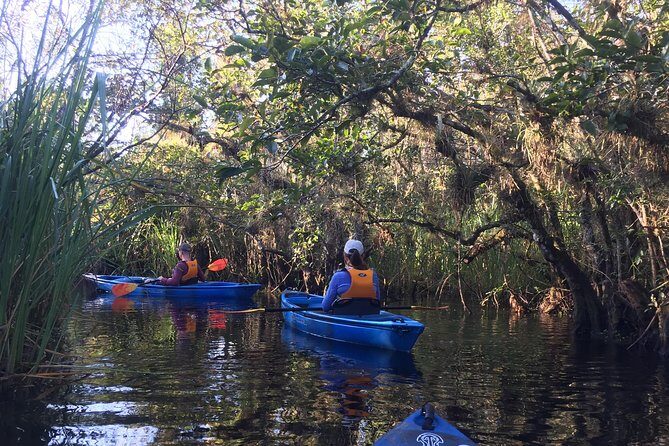 Everglades Kayak Safari Adventure Through Mangrove Tunnels - Equipment and Comfort