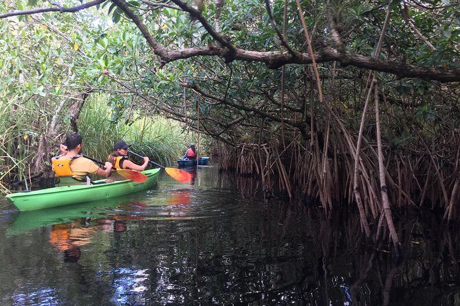 Everglades Kayak Safari Adventure Through Mangrove Tunnels - Tour Timing and Small Group Advantage