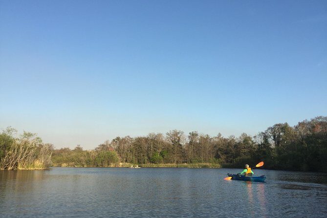 Everglades Kayak Safari Adventure Through Mangrove Tunnels - Pros and Cons Summary