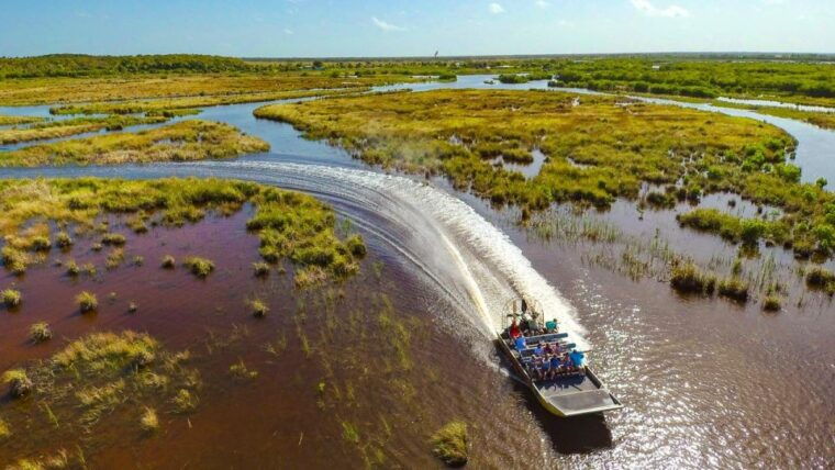 everglades-mangrove-grassland-airboat-tours-boardwalk