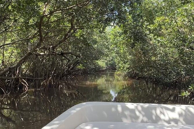 everglades-mangrove-wilderness-boat-tour-2