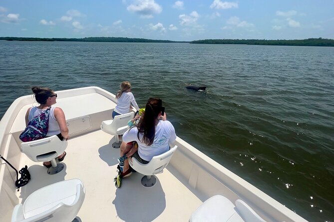 everglades-mangrove-wilderness-boat-tour