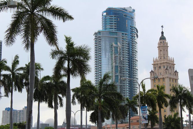 Everglades & Miami city tour with experienced guide in small group - Who Will Love This Experience?