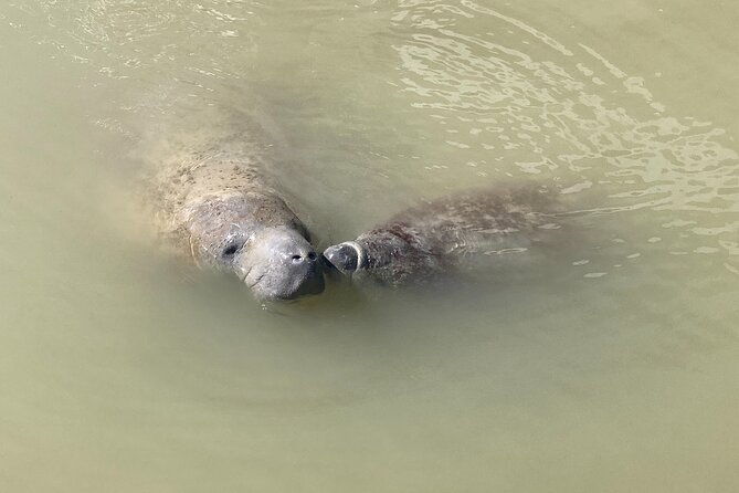 everglades-national-park-3-hikes-90-minute-boat-tour-lunch