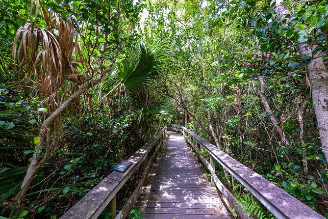 everglades-national-park-audio-tour-guide
