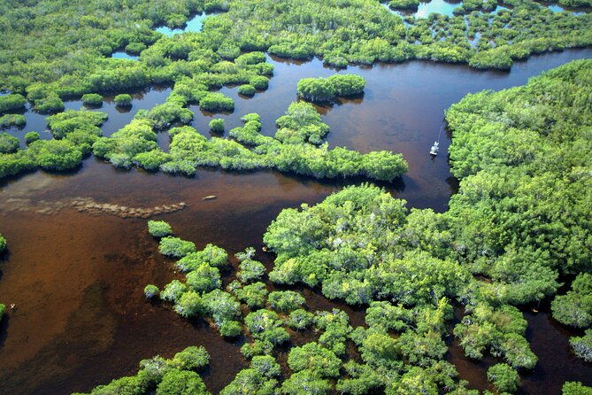 everglades-national-park-boat-tour