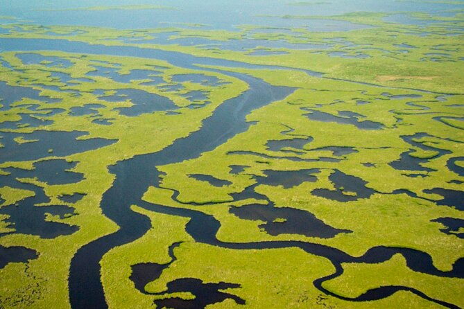 everglades-national-park-boat-tour