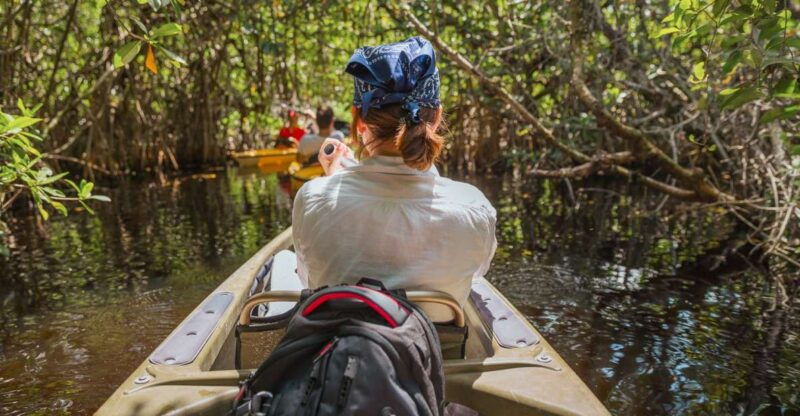 everglades-national-park-mangrove-tunnel-kayak-eco-tour