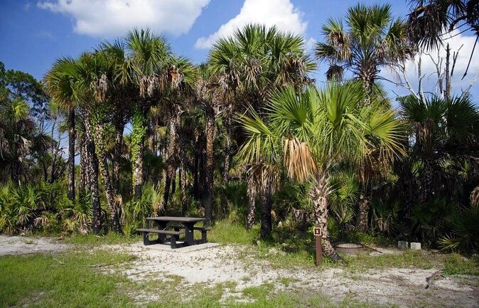 everglades-national-park-naturalist-led-hike-2-boat-trips-more-2