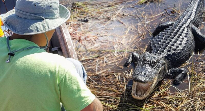 everglades-sawgrass-park-airboat-adventure-package